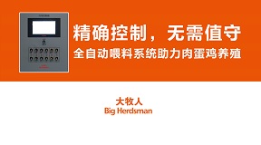 精确控制，无需值守—全自动喂料系统助力肉蛋鸡养殖