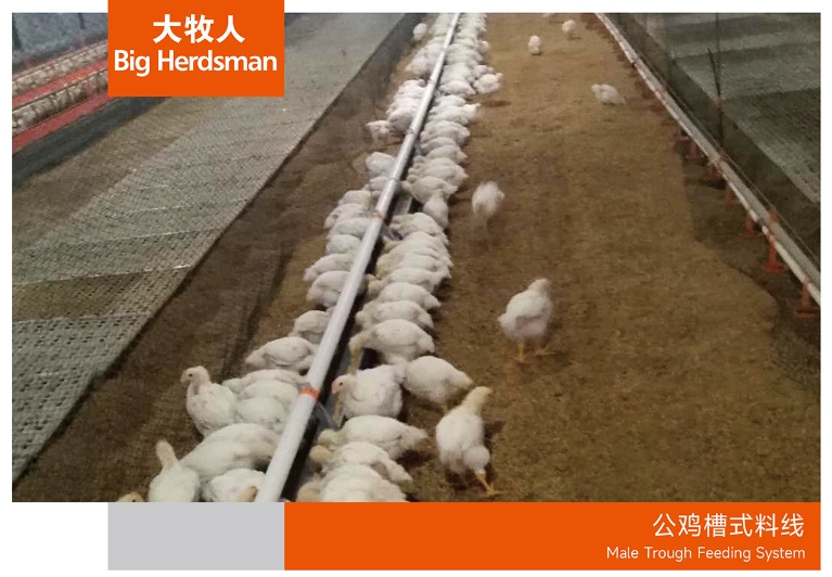 公鸡槽式料线