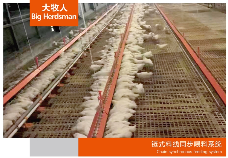 链式料线同步喂料系统