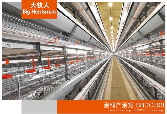 蛋鸭产蛋笼-BHDC500