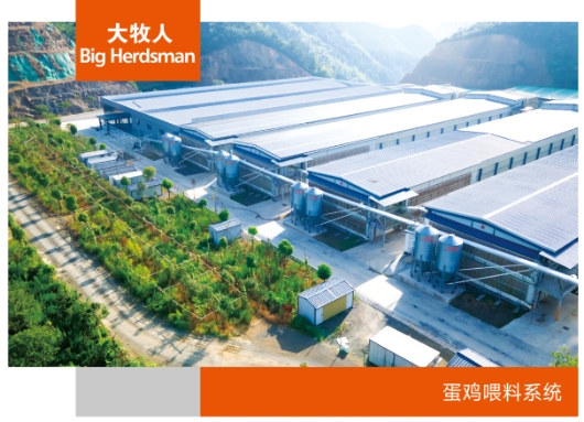 蛋鸡喂料系统