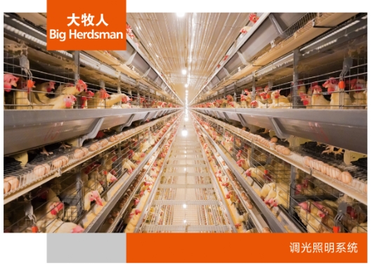调光照明系统