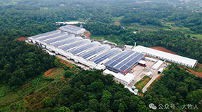 湘佳占家湾生态智慧蛋鸡产业园：大牧人7列10层笼养解决方案引领蛋鸡养殖新模范