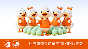 大牧人蛋鸭笼养系统——蛋鸭高产省心 养殖效率稳赢