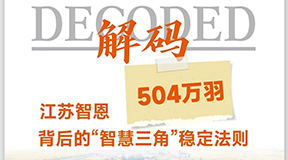 解码智恩农场：504万羽背后的“智慧三角”稳定法则