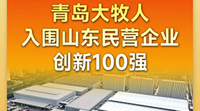 喜报！青岛大牧人入围山东民营企业创新100强！