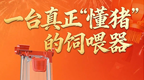 新年智选｜用一台真正“懂猪”的饲喂器，开启2026科学养殖新纪元