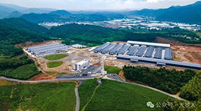 解码江西林昌泰：200万羽蛋鸡的“智慧综合体”，如何定义赣北禽蛋产业新高度？