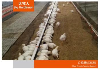 公鸡槽式料线