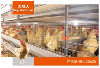 大牧人BH625标准产蛋笼