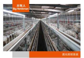 调光照明系统