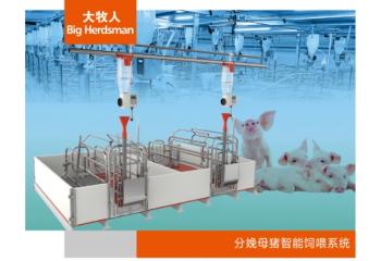 全阶段母猪智能饲喂系统