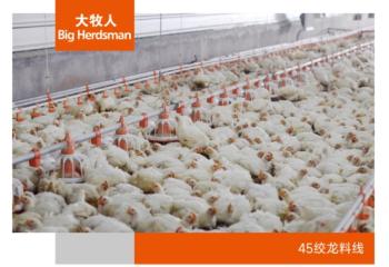 45绞龙料线