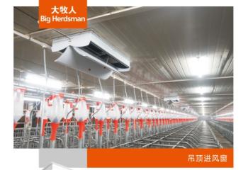 吊顶进风窗